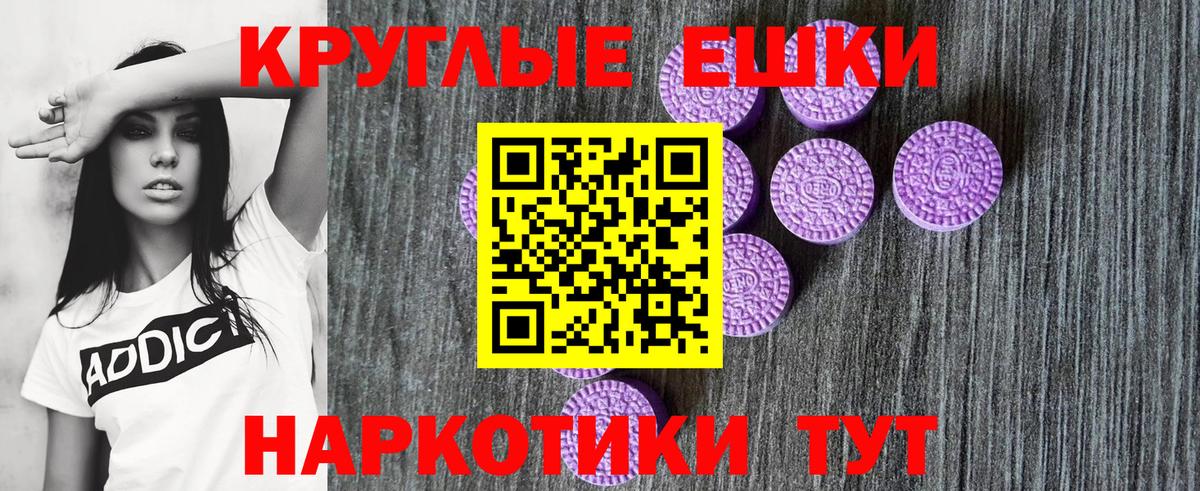 ЭКСТАЗИ Philipp Plein  Ecstasy ешки  Кандалакша  Вход с VPN 