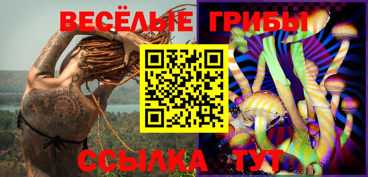 Псилоцибиновые грибы Cubensis Кандалакша